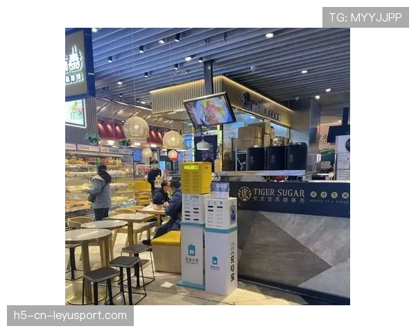 场馆内临时充电宝借用点管理与押金退还流程，商场租借充电宝