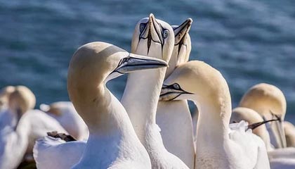 乐鱼官网安全-赛事新玩法：混合现实让球迷身临其境，混合现实技术包括什么